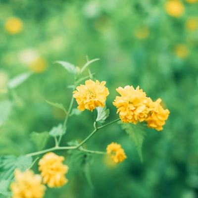 天翼之决最新版下载